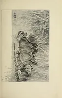 An illustration from African game trails : an account of the African wanderings of an American hunter-naturalist (1910)