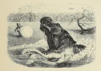 An illustration from African hunting, from Natal to the Zambesi : including Lake Ngami, the Kalahari Desert, &c. From 1852 to 1860 (1863)