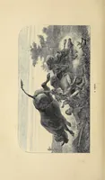 An illustration from African hunting, from Natal to the Zambesi : including Lake Ngami, the Kalahari Desert, &c. From 1852 to 1860 (1863)