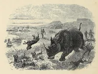 An illustration from African hunting, from Natal to the Zambesi : including Lake Ngami, the Kalahari Desert, &c. From 1852 to 1860 (1863)