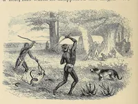 An illustration from African hunting, from Natal to the Zambesi : including Lake Ngami, the Kalahari Desert, &c. From 1852 to 1860 (1863)