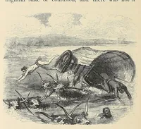 An illustration from African hunting, from Natal to the Zambesi : including Lake Ngami, the Kalahari Desert, &c. From 1852 to 1860 (1863)