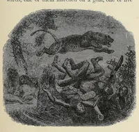 An illustration from African hunting, from Natal to the Zambesi : including Lake Ngami, the Kalahari Desert, &c. From 1852 to 1860 (1863)