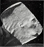 An illustration from After death--what? : Spiritistic phenomena and their interpretation (1909)