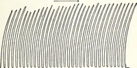 An illustration from After death--what? : Spiritistic phenomena and their interpretation (1909)