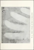 An illustration from After death--what? : Spiritistic phenomena and their interpretation (1909)