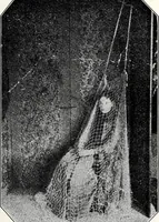 An illustration from After death--what? : Spiritistic phenomena and their interpretation (1909)