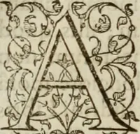 An illustration from Agathiae historici & poëtae eximij, De imperio et rebvs gestis Ivstiniani imperatoris, libri qvinqve: (1594)