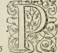 An illustration from Agathiae historici & poëtae eximij, De imperio et rebvs gestis Ivstiniani imperatoris, libri qvinqve: (1594)