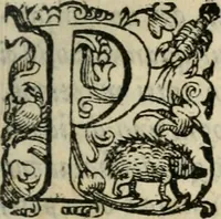 An illustration from Agnella : comedia nuoua (1585)