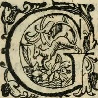 An illustration from Agnella : comedia nuoua (1585)