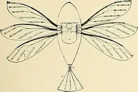 Picture 36 of 499 from Aircraft (1910), leaf 26