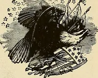 An illustration from Aircraft (1910)