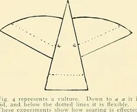 Picture 45 of 499 from Aircraft (1910), leaf 40