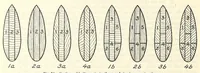Picture 14 of 16 from Aircraft design data .. (1919), leaf 392