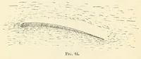 An illustration from Air service handbook (1918)