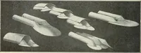 An illustration from Airships past and present, together with chapters on the use of balloons in connection with meteorology, photography and the carrier pigeon (1908)