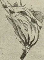 An illustration from Airships past and present, together with chapters on the use of balloons in connection with meteorology, photography and the carrier pigeon (1908)