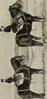 An illustration from Airships past and present, together with chapters on the use of balloons in connection with meteorology, photography and the carrier pigeon (1908)