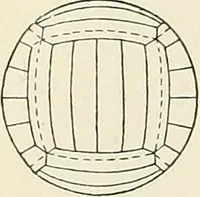 An illustration from Airships past and present, together with chapters on the use of balloons in connection with meteorology, photography and the carrier pigeon (1908)