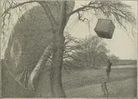 Picture 137 of 205 from Airships past and present, together with chapters on the use of balloons in connection with meteorology, photography and the carrier pigeon (1908), leaf 252