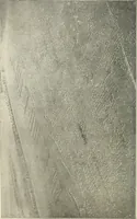 An illustration from Airships past and present, together with chapters on the use of balloons in connection with meteorology, photography and the carrier pigeon (1908)