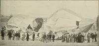 An illustration from Airships past and present, together with chapters on the use of balloons in connection with meteorology, photography and the carrier pigeon (1908)