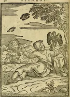 An illustration from Aisopou mythoi (1644)