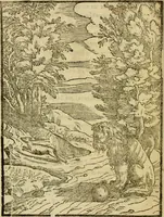 An illustration from Aisopou mythoi (1644)