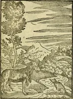 An illustration from Aisopou mythoi (1644)