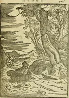 Picture 47 of 65 from Aisopou mythoi (1644), leaf 124