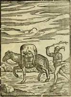 An illustration from Aisopou mythoi (1644)