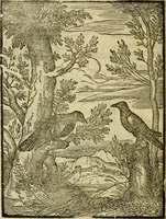 An illustration from Aisopou mythoi (1644)