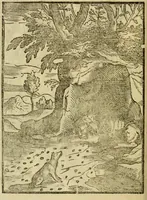 An illustration from Aisopou mythoi (1644)