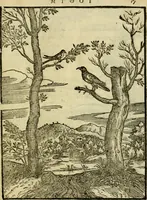 An illustration from Aisopou mythoi (1644)