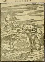 An illustration from Aisopou mythoi (1644)