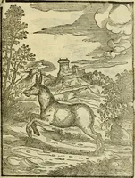 An illustration from Aisopou mythoi (1644)