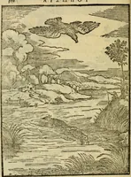 An illustration from Aisopou mythoi (1644)