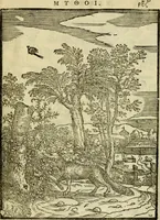 Picture 59 of 65 from Aisopou mythoi (1644), leaf 168