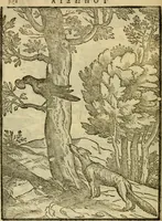 Picture 60 of 65 from Aisopou mythoi (1644), leaf 169