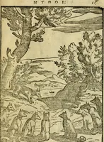 An illustration from Aisopou mythoi (1644)