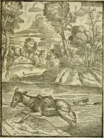An illustration from Aisopou mythoi (1644)
