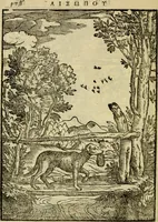 An illustration from Aisopou mythoi (1644)