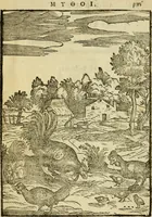 An illustration from Aisopou mythoi (1644)