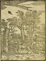An illustration from Aisopou mythoi (1644)
