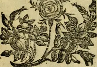 An illustration from Aisopou mythoi (1644)