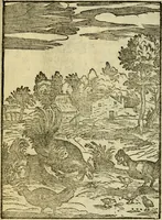 An illustration from Aisopou mythoi (1644)