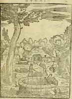 An illustration from Aisopou mythoi (1644)