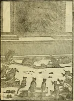 An illustration from Aisopou mythoi (1644)