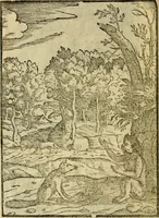 An illustration from Aisopou mythoi (1644)